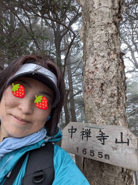 f:id:hanawantan:20241107125416j:image