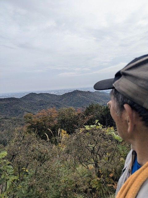 f:id:hanawantan:20241125210247j:image