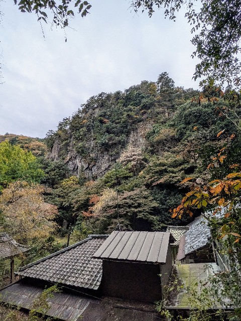 f:id:hanawantan:20241125210814j:image