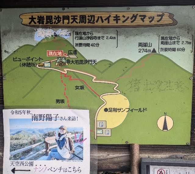 f:id:hanawantan:20241125211837j:image