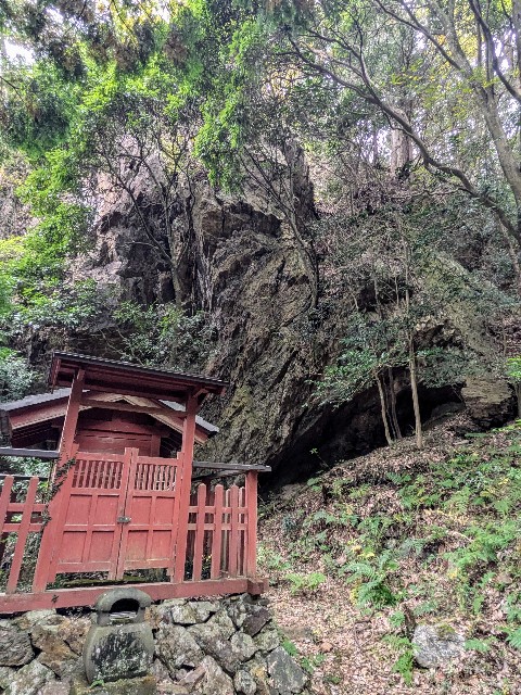 f:id:hanawantan:20241125212318j:image
