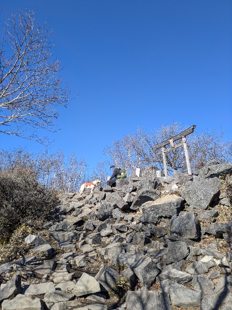 f:id:hanawantan:20241128094843j:image