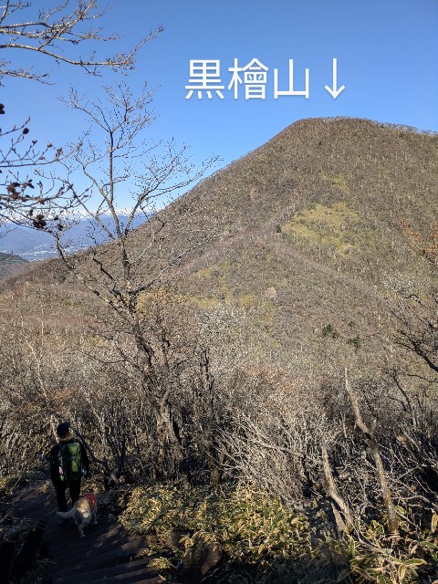f:id:hanawantan:20241128183618j:image