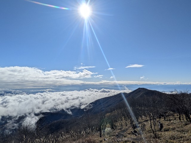 f:id:hanawantan:20241128184651j:image