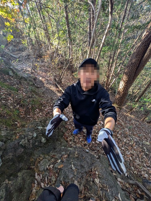 f:id:hanawantan:20241206193602j:image