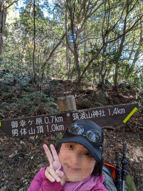 f:id:hanawantan:20241213190342j:image