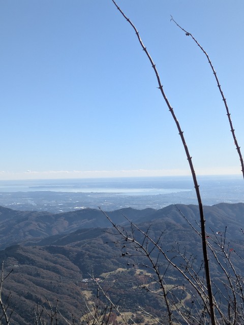 f:id:hanawantan:20241213190847j:image