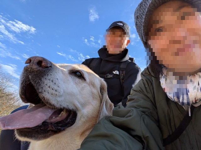 f:id:hanawantan:20241223221437j:image