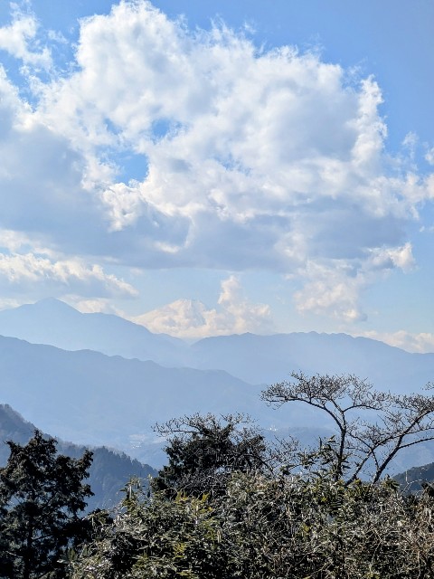 f:id:hanawantan:20250202075256j:image