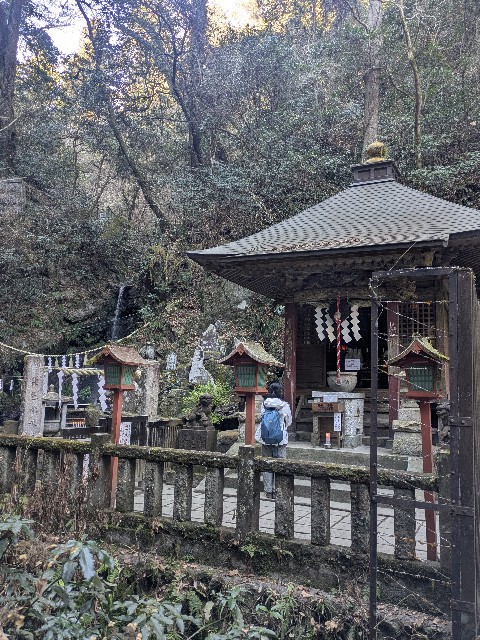 f:id:hanawantan:20250202085530j:image