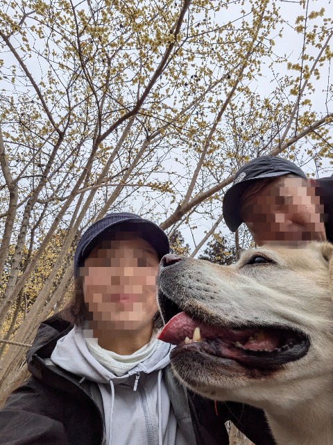 f:id:hanawantan:20250206192820j:image