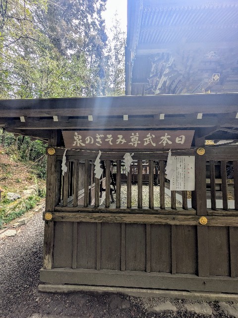 f:id:hanawantan:20250206194242j:image