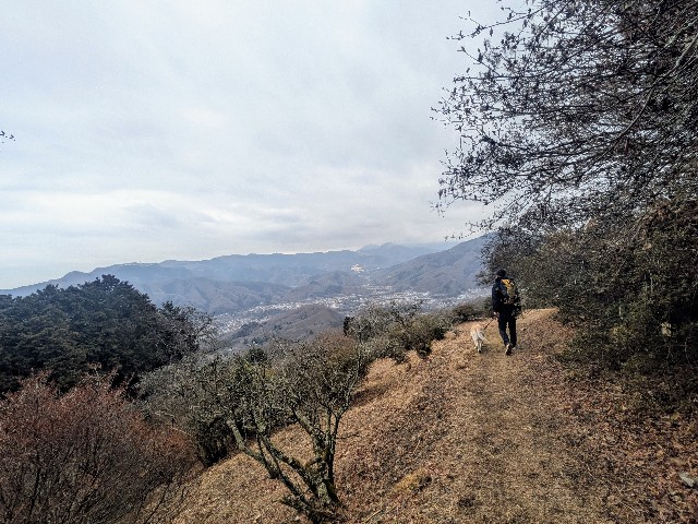 f:id:hanawantan:20250208184703j:image