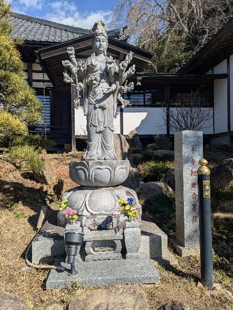 f:id:hanawantan:20250225211831j:image