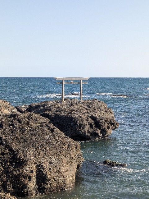 f:id:hanawantan:20250307214804j:image