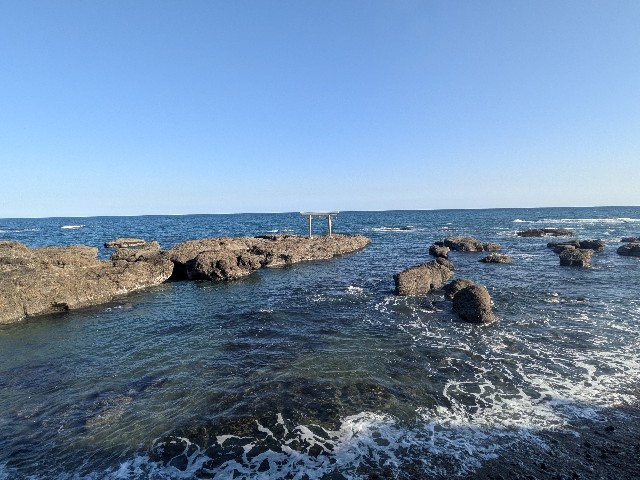 f:id:hanawantan:20250307214833j:image