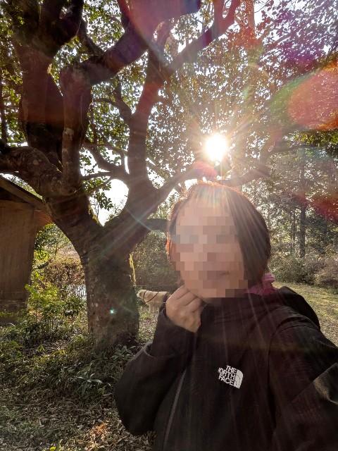 f:id:hanawantan:20250315070634j:image