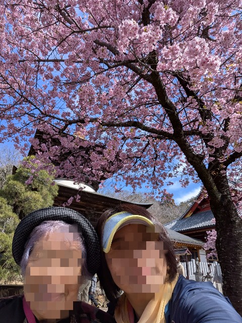 f:id:hanawantan:20250319183713j:image