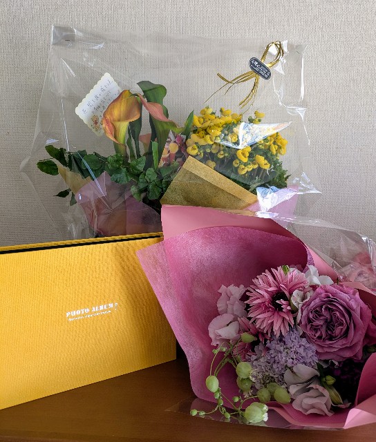 f:id:hanawantan:20250323221621j:image f:id:hanawantan:20250323221621j:image