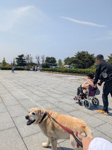 f:id:hanawantan:20250430160322j:image