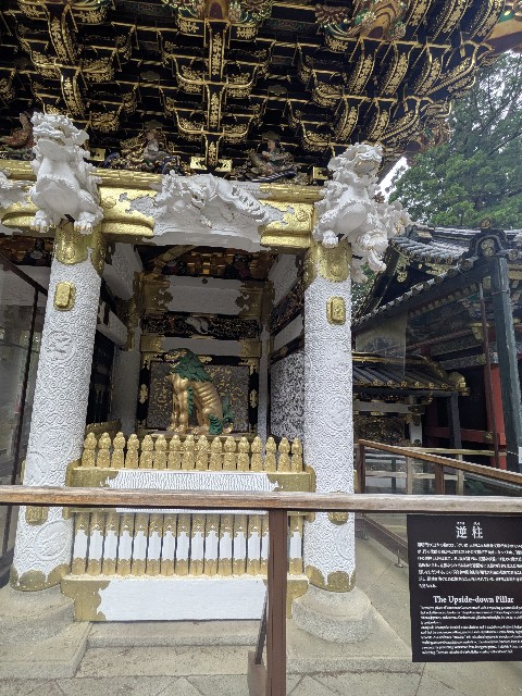 f:id:hanawantan:20250531115213j:image