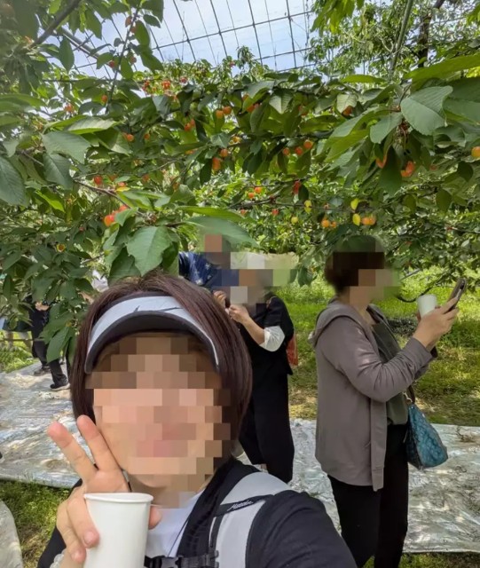 f:id:hanawantan:20250608085553j:image