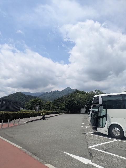 f:id:hanawantan:20250608090134j:image