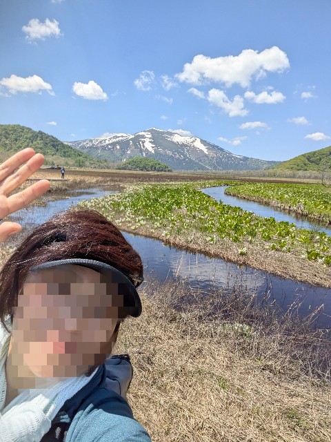 f:id:hanawantan:20250611080635j:image
