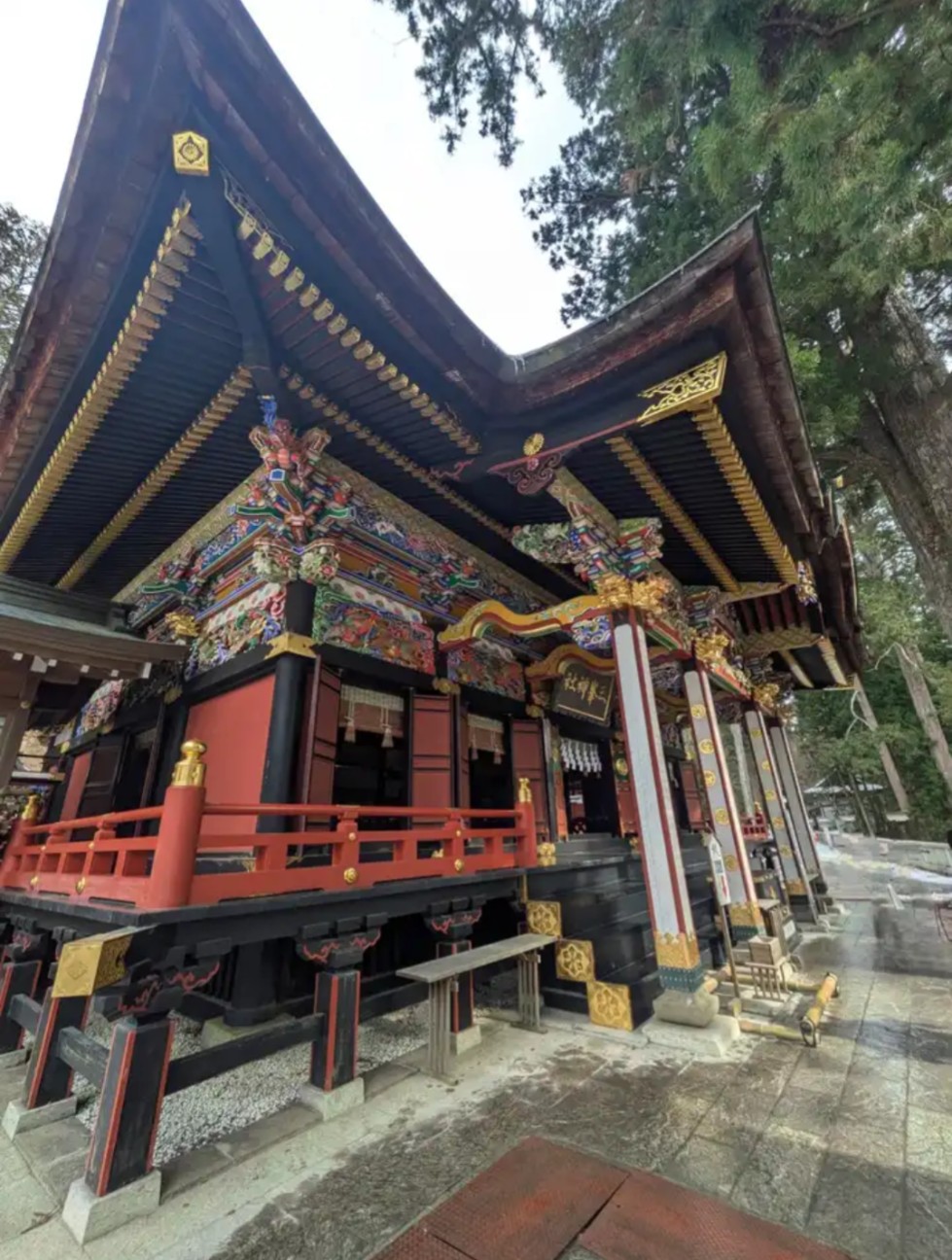 f:id:hanawantan:20260319205246j:image