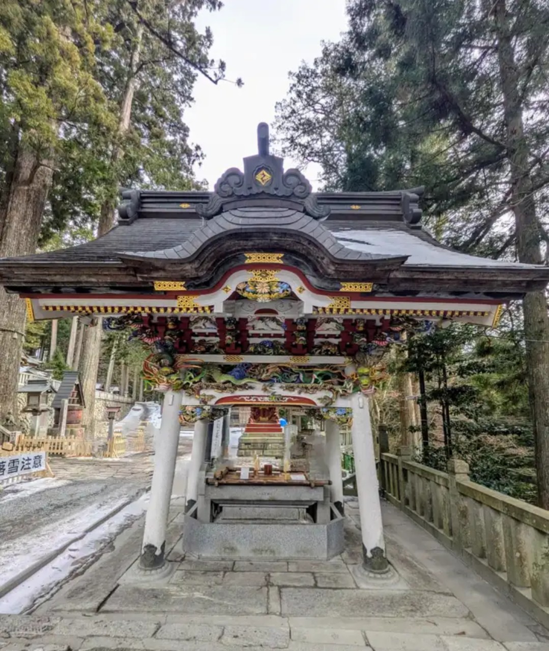 f:id:hanawantan:20260319205247j:image