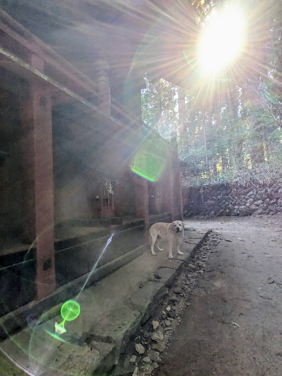 f:id:hanawantan:20260418103552j:image f:id:hanawantan:20260418103552j:image