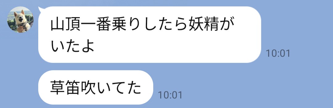 f:id:hanawantan:20260805183336j:image