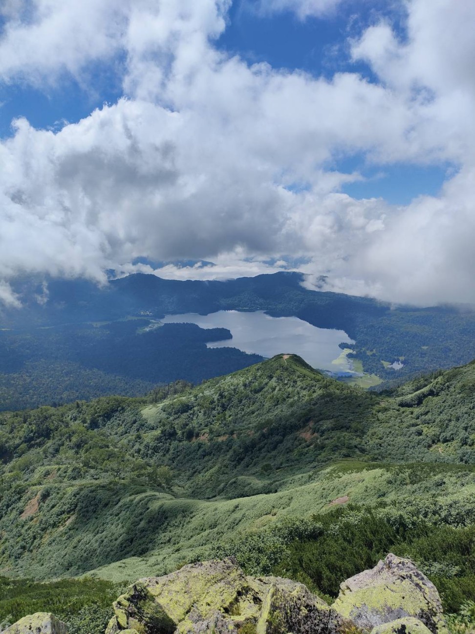 f:id:hanawantan:20260805212455j:image