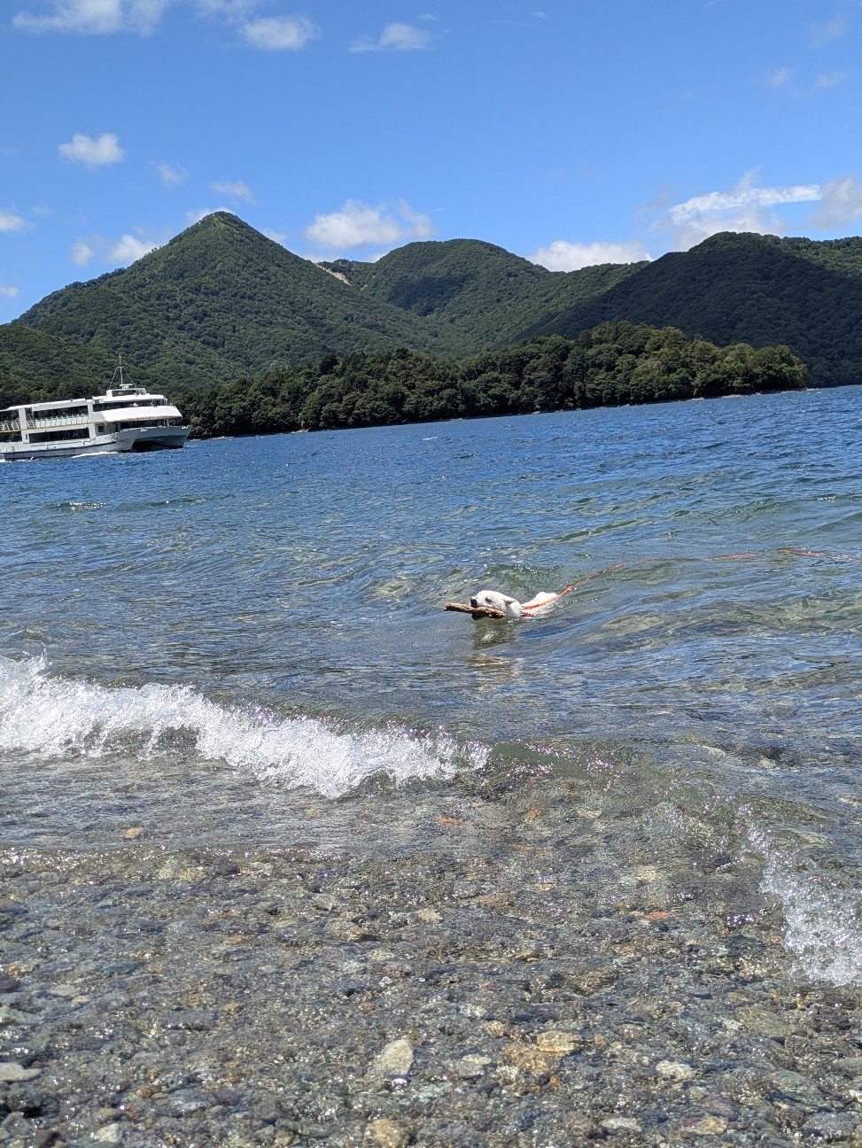 f:id:hanawantan:20260820153332j:image f:id:hanawantan:20260820153332j:image