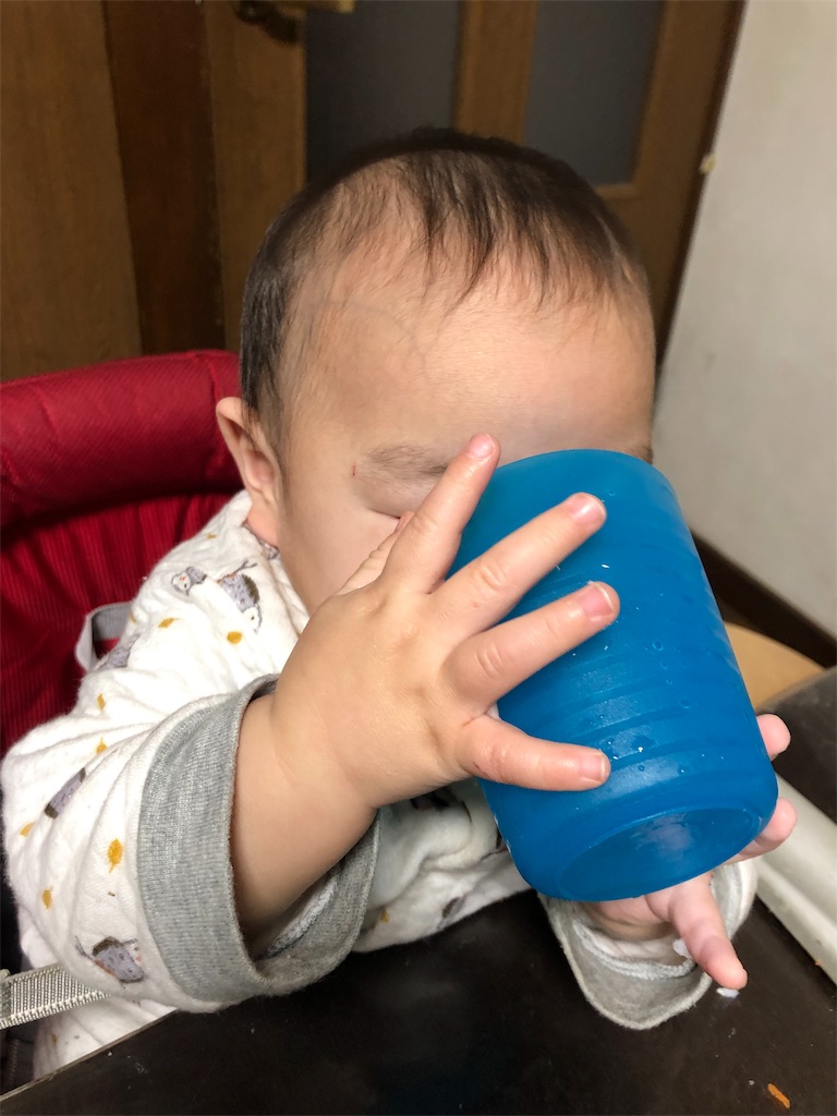 f:id:hanaxmaru:20190304231017j:image