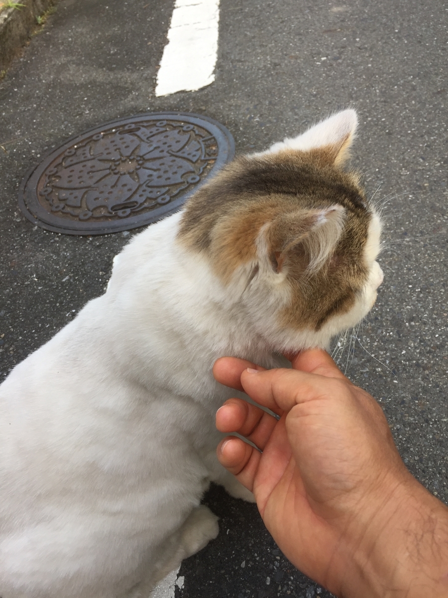 f:id:hanayamatoro:20201007133105j:plain f:id:hanayamatoro:20201007133105j:plain