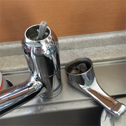 f:id:hanayasu:20170605142153j:image