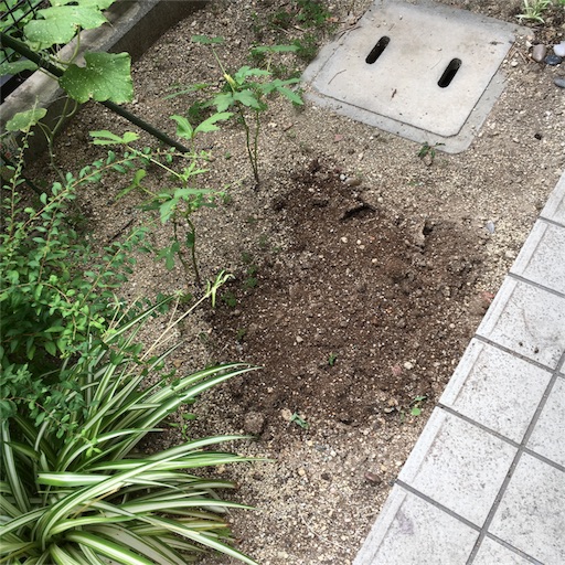 f:id:hanayasu:20170725235508j:image