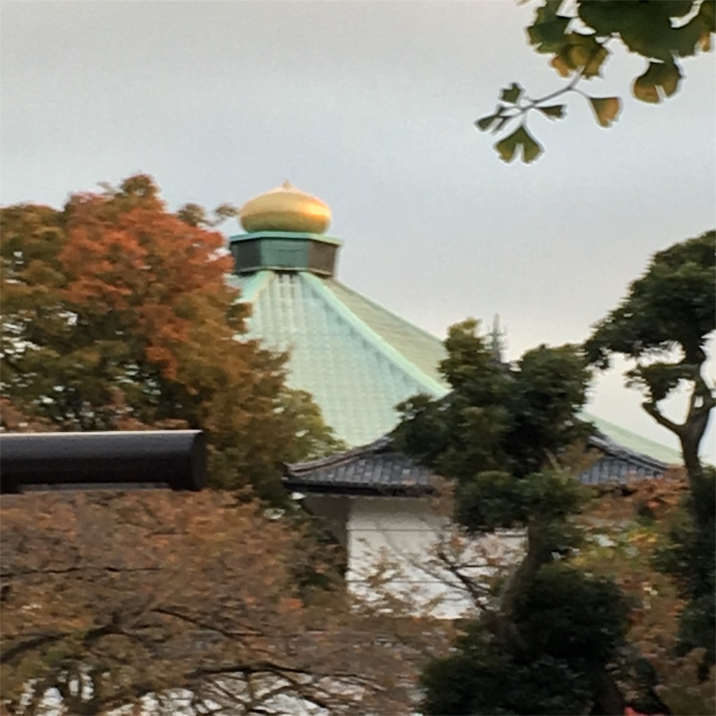 f:id:hanayasu:20171108132252j:image