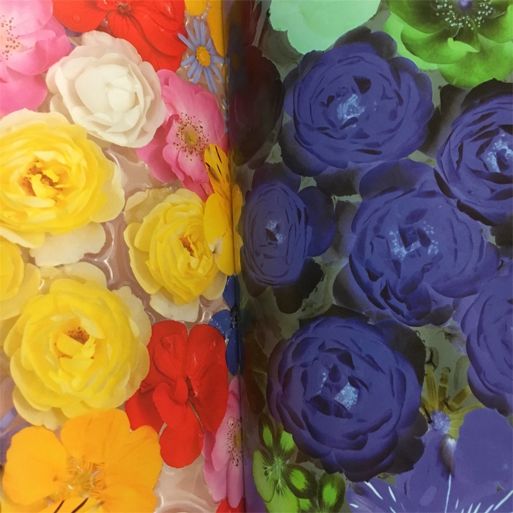 １日１分見るだけ 目がよくなる28のすごい写真とは 悩めるママの日記