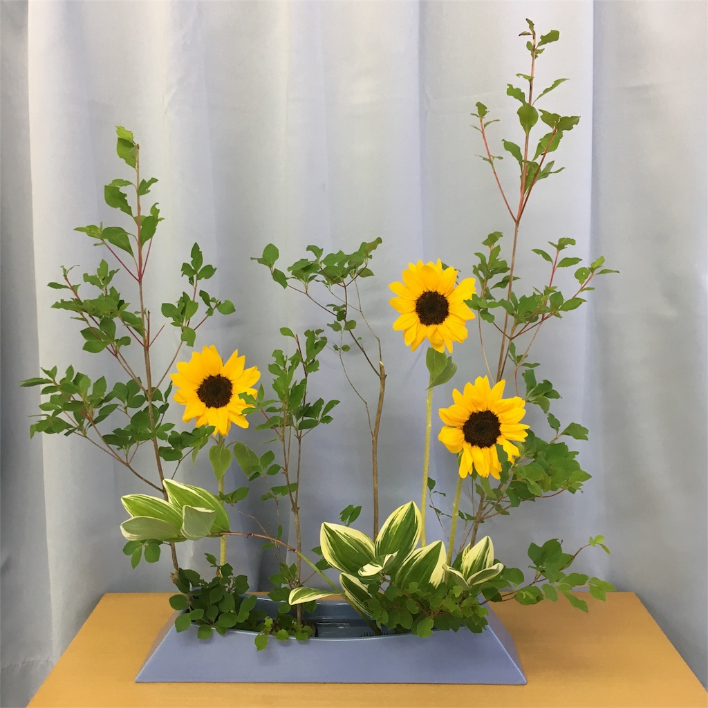 f:id:hanayasu:20180602125152j:image f:id:hanayasu:20180602125152j:image