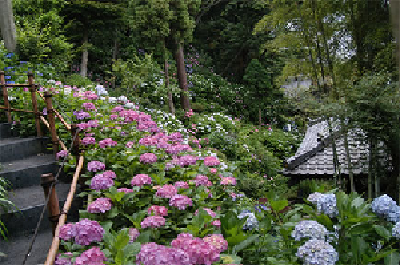 f:id:hanayasu:20181016105932p:plain