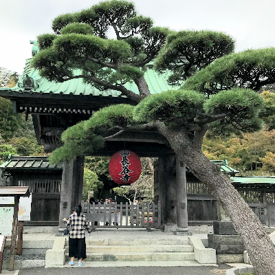 f:id:hanayasu:20181016110905p:plain