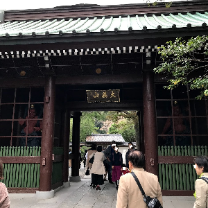 f:id:hanayasu:20181016142633p:plain