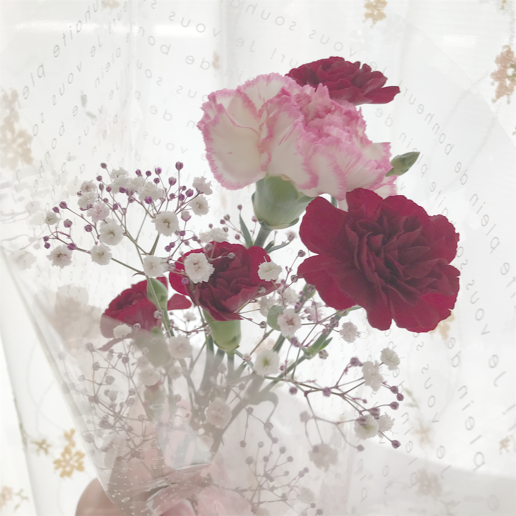 f:id:hanayasu:20210516080736p:image f:id:hanayasu:20210516080736p:image