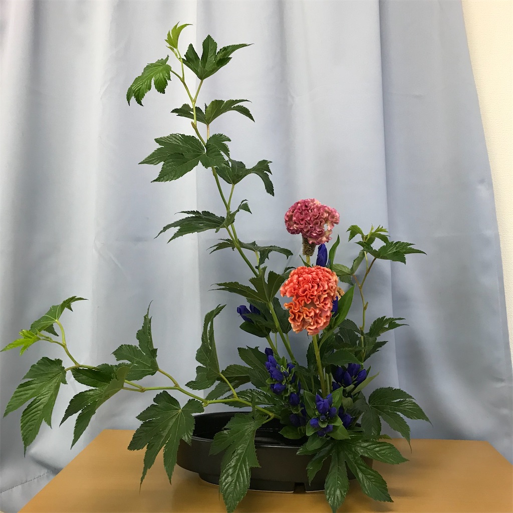 f:id:hanayasu:20211018080719j:image f:id:hanayasu:20211018080719j:image