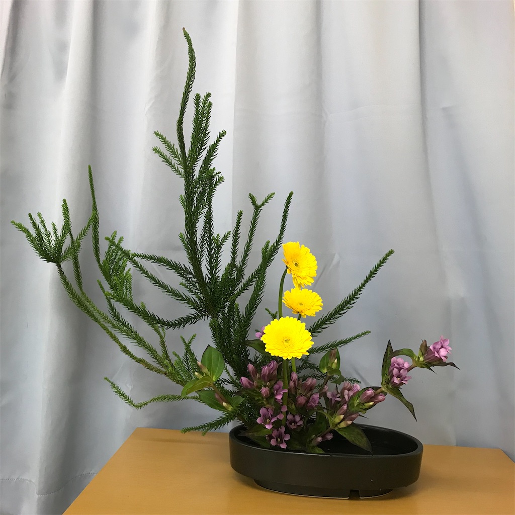 f:id:hanayasu:20211018092021j:image f:id:hanayasu:20211018092021j:image