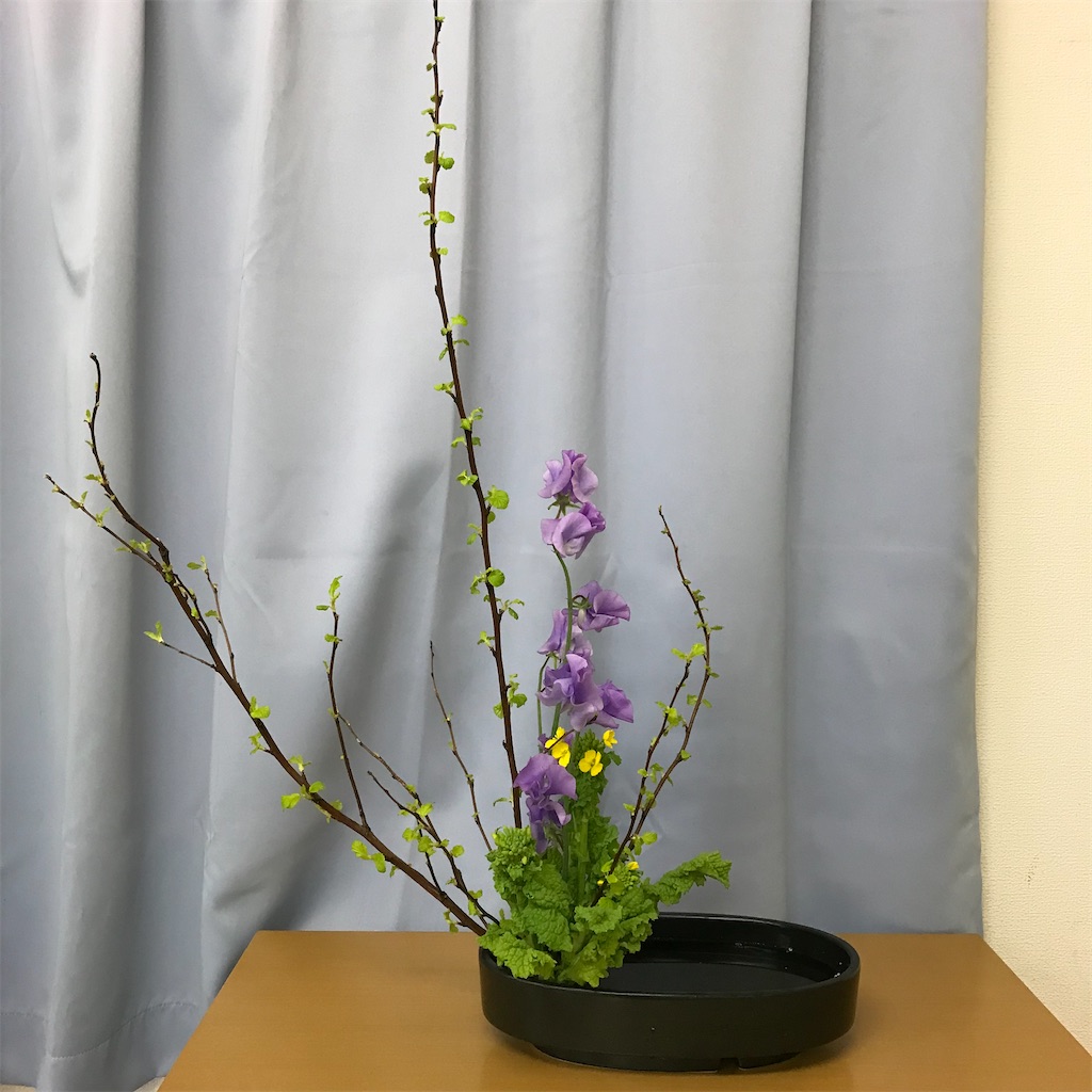 f:id:hanayasu:20220219161518j:image f:id:hanayasu:20220219161518j:image