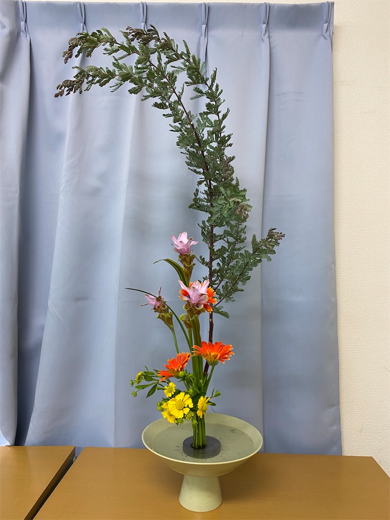 f:id:hanayasu:20221006213632j:image f:id:hanayasu:20221006213632j:image