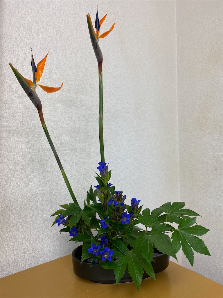 f:id:hanayasu:20221015215937j:image f:id:hanayasu:20221015215937j:image